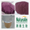 Freeze Dried Acai Berry Powder/acai berry juice